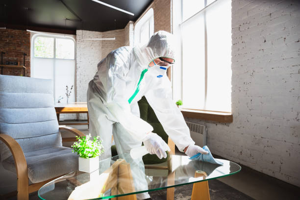 Why You Should Choose Our Mold Remediation Services in Valley, NE